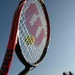 Image de Tennis Club de Langueux (TCL)